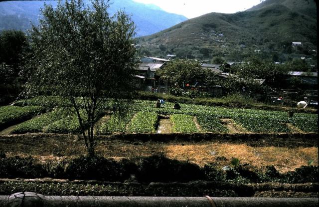 New Territories photo, 1974. Can anyone locate the exact place?