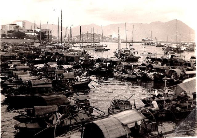 Causeway Bay Typhoon Shelter - 1954
