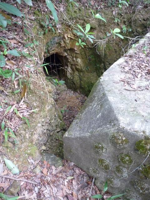 Back of AOP, and entrance to tunnel