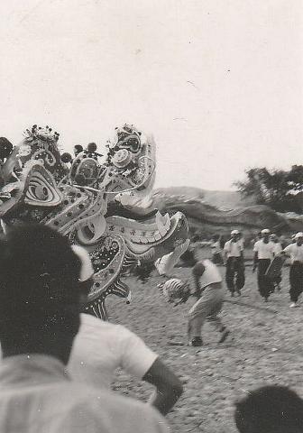dragon dance ceremony nt 1955