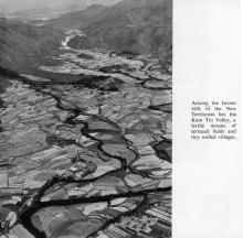 Kam Tin valley 1950s