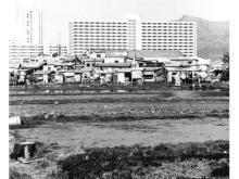 lek yuen estate and shatin old town