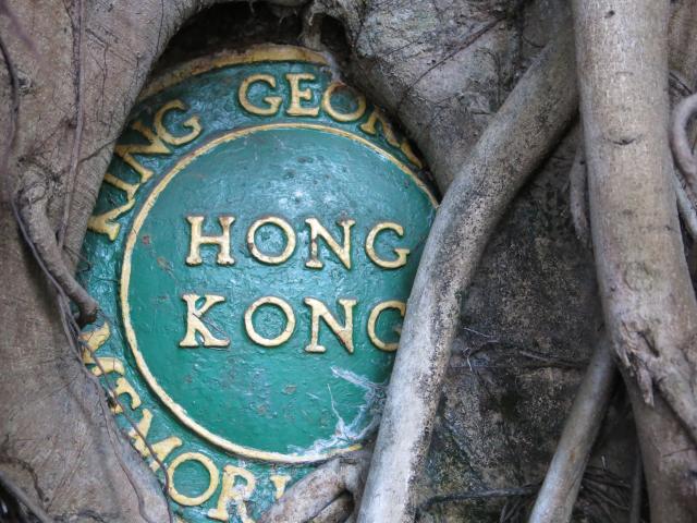 The plaque of King George V Memorial Park partly covered by roots