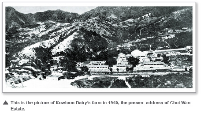 1940 - Kowloon Dairy 