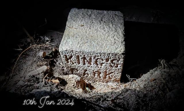 KING's PARK (10th Jan 2024)