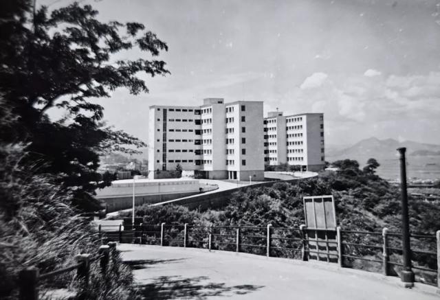 1950s Leighton Hill Government Quarters
