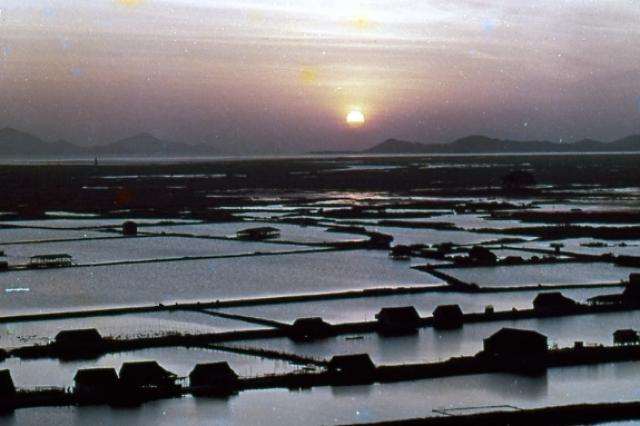 Sunset across the rice fields