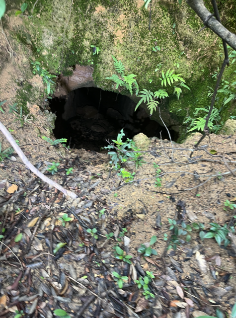 Japanese tunnel