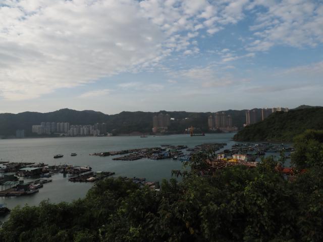 Concentration of fish farms (魚排) in Ma Wan