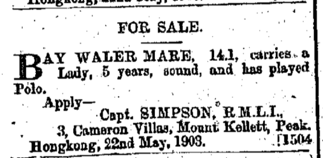 Bay Waler Mare For Sale Hong Kong Daily Press page 1 23rd May 1903