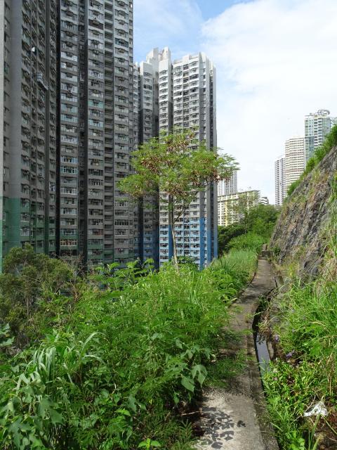 Wah Kwai Estate (rear view)