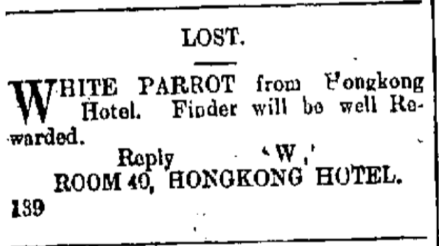 white parrot lost the china mail page 1 24th january 1906