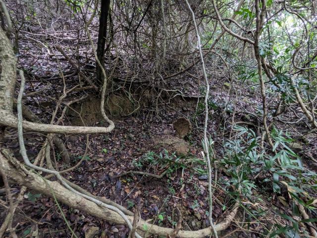 Intact roof of Japanese Pillbox at Tai Tam Tuk
