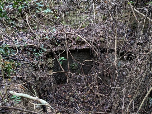 Interior of Japanese Pillbox at Tai Tam Tuk showing concrete lining (roof collapsed)