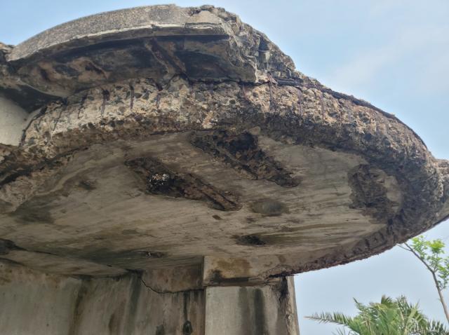 Bokhara Battery DEL 