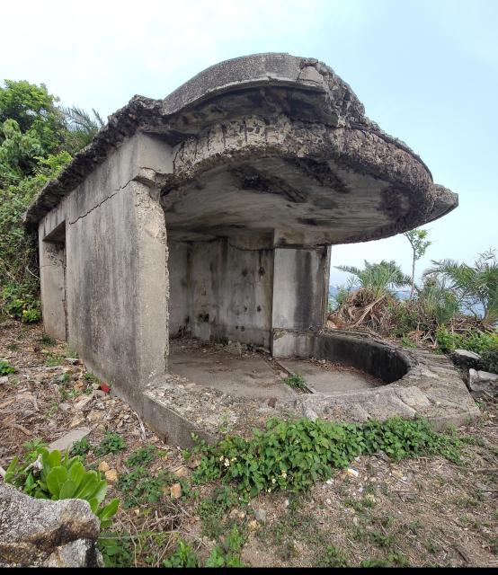 Bokhara Battery DEL 