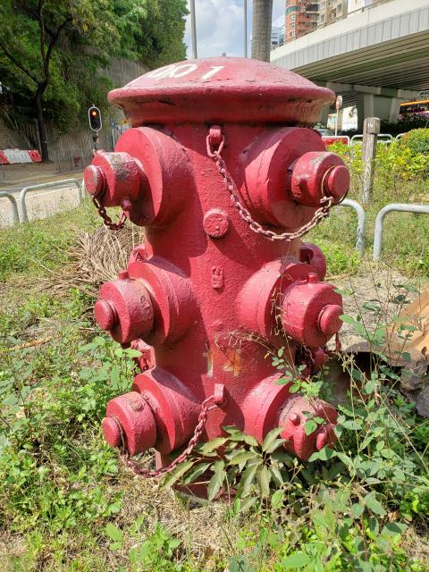 Heavy draw-off hydrant #14 Waterloo Road & Argyle Street