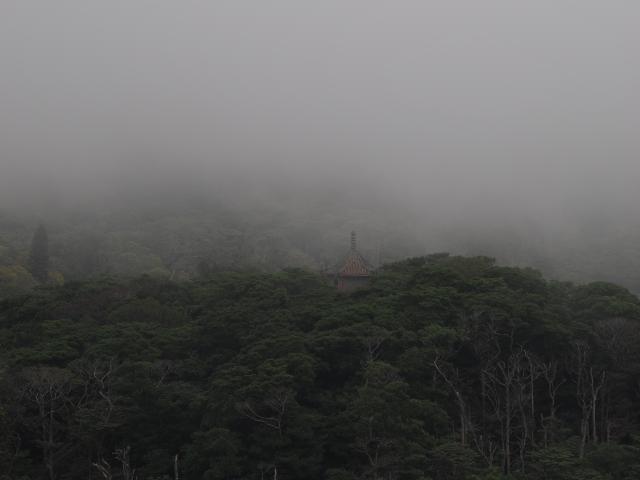 Pagoda of the Flower Ornament Sutra, in the mist