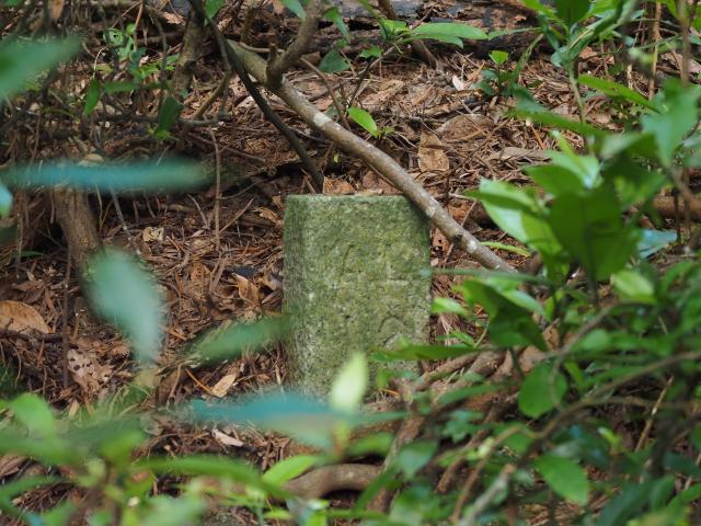 Admilralty Lot boundary stone, Cheung Chau