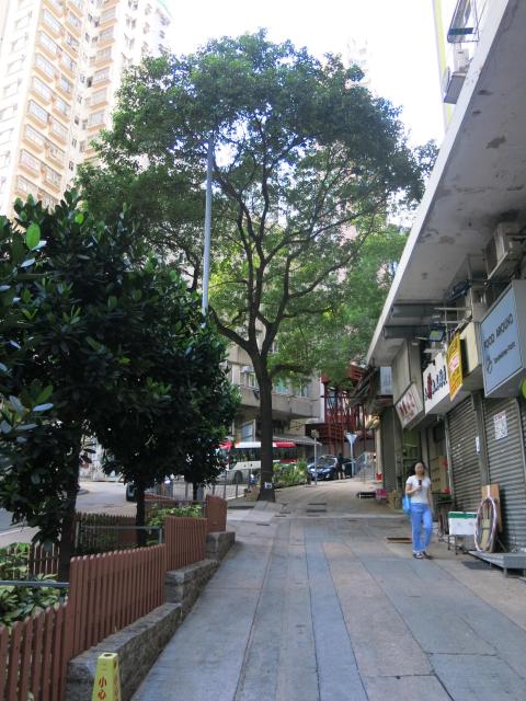 Water Street 