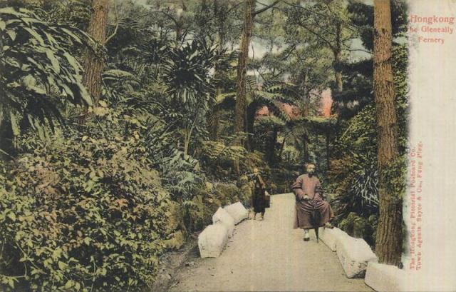 1900s Glenealy (Path) Fernery