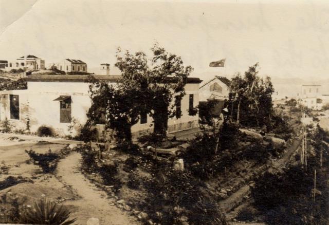 Pictures for Tung crop