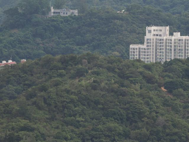 Ruins of a Gang Lau (更棲) on Wu Dip Shan in Mui Wo