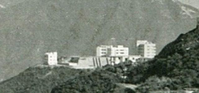 Cameron Houses c.1950