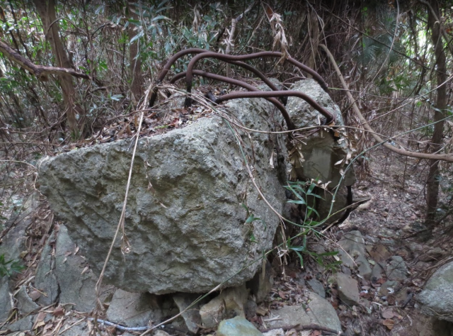 reinforced concrete structure near dwb outdoor kitchen