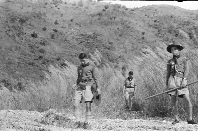 Scouts on a hike 2