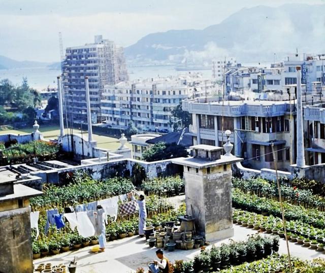 1957 Overlooking Tak Shing Street
