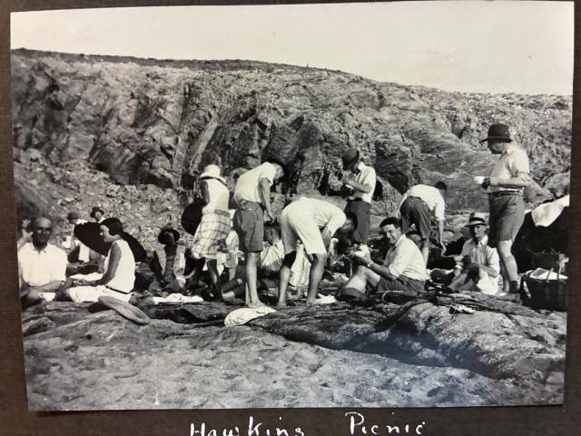 Hawkins picnic