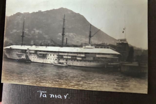 tamar 0