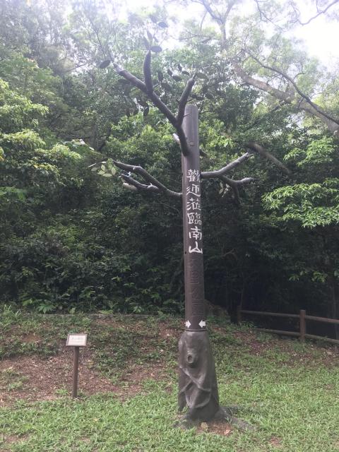 AFCD Nam Shan Campsite Decoration