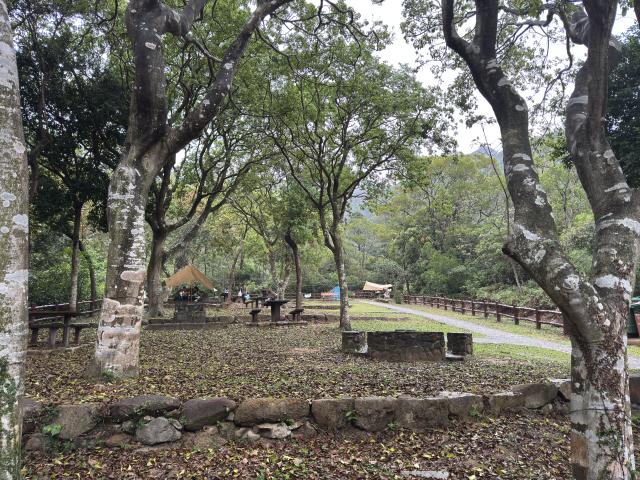 AFCD Shek Pik Campsite Campground
