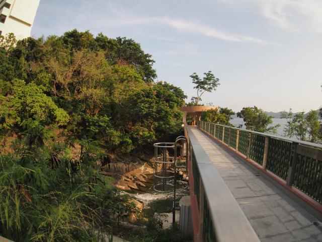 Foot bridge across Waterfall