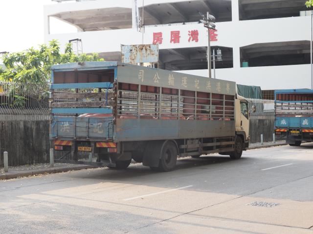 Tsuen Wan Slaughter House