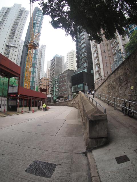 Birds Bridge