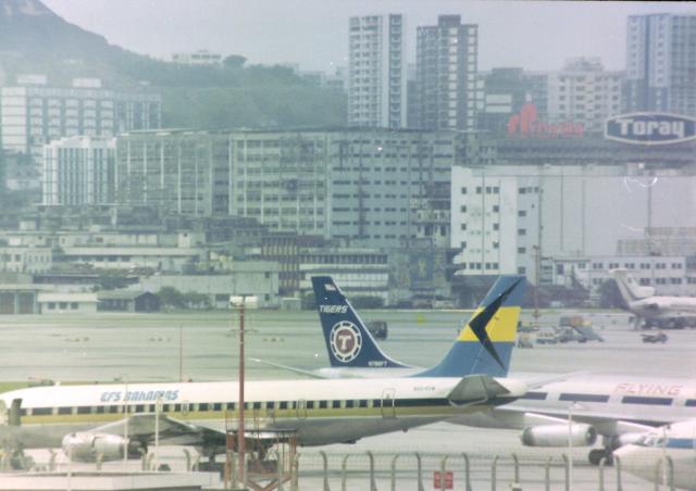 EFS Bahamas DC8 N804SW