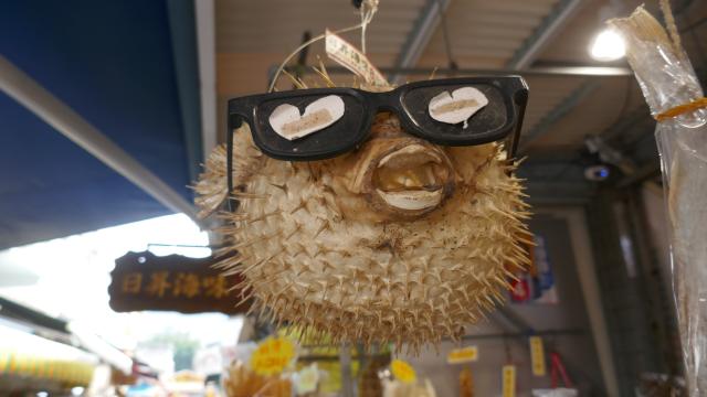 Dried Pufferfish