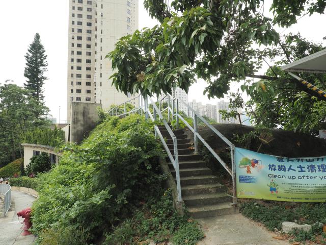 The steps to Mount Caroline Cemetery, from Broadwood Road