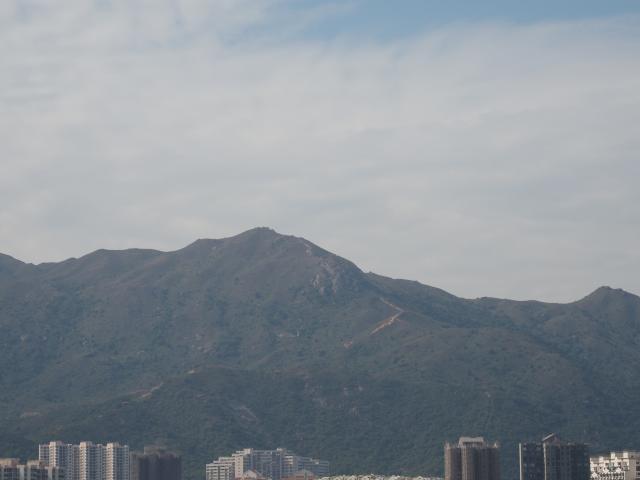 Lo Fu Tau (tiger head in Cantonese)