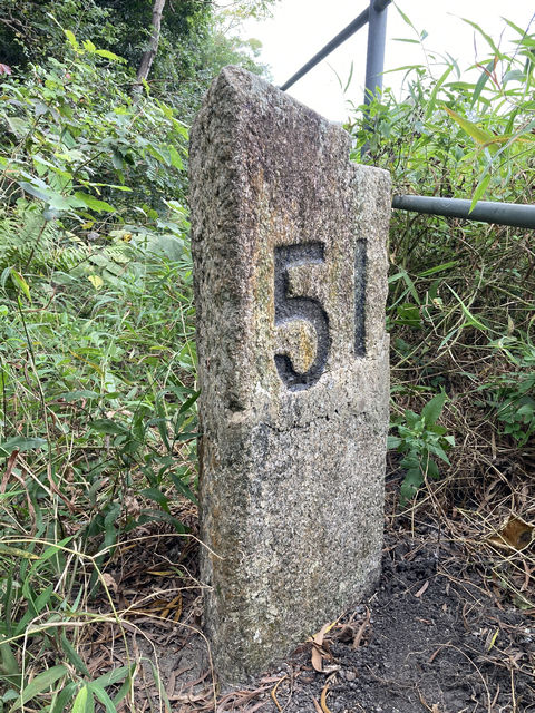 CP51L