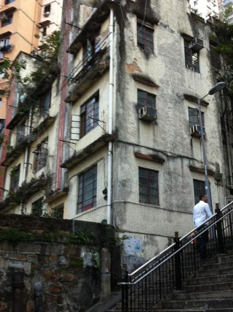 ladder st tec (3)