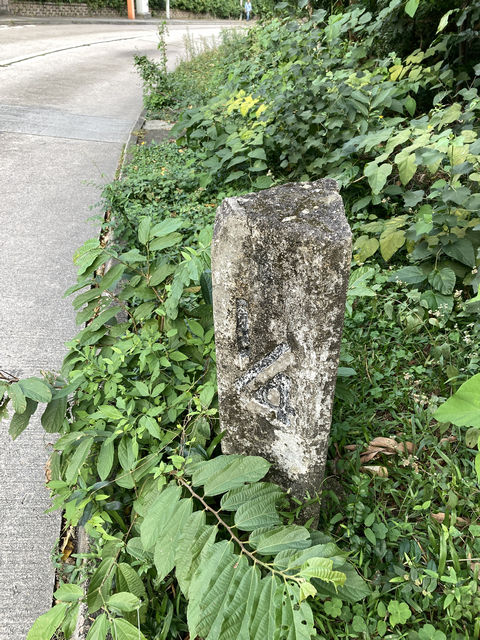 ms 1/4 lantau road