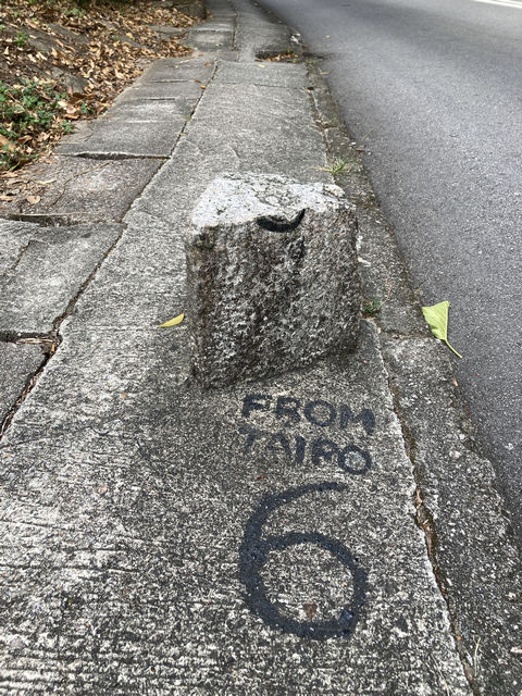 ms 6 ting kok road