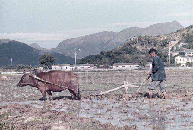 19 Ploughing