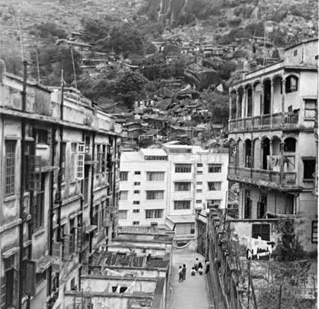 1950s Illumination Terrace and Tai Hang Squatter Settlement