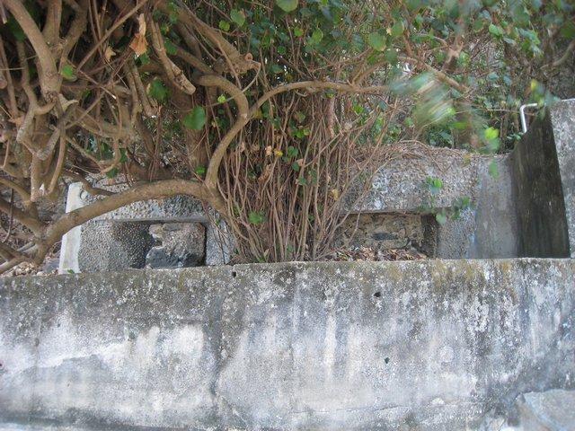 chung hom kok beach bbq