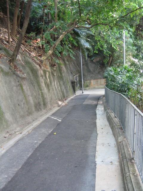 A.R.P. Tunnels in Central